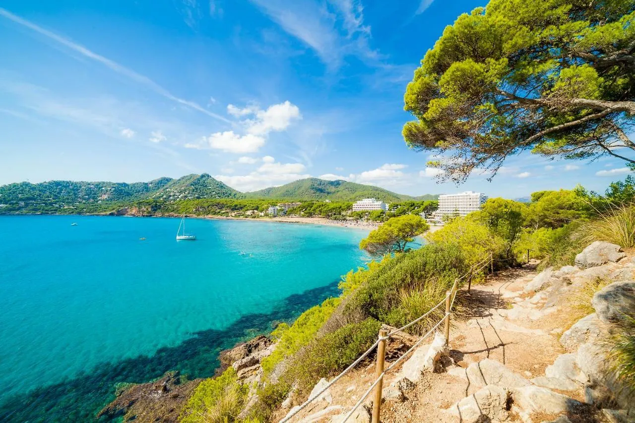 Apartaments Sa Torre By Sureda Mas Canyamel  Spagna